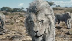 Mufasa The Lion King Showtimes Tickets Showcase Cinemas US