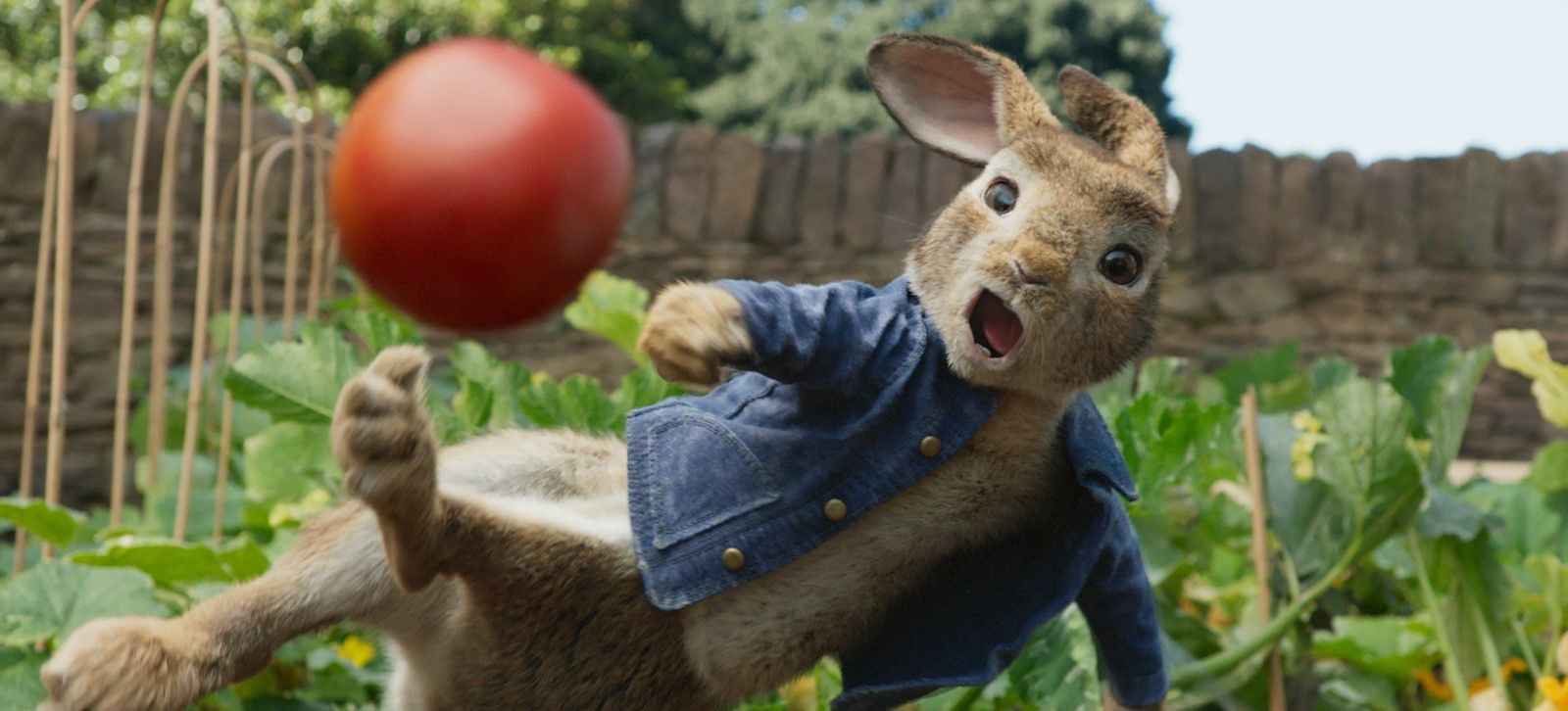 Pierre Lapin Pierre Lapin