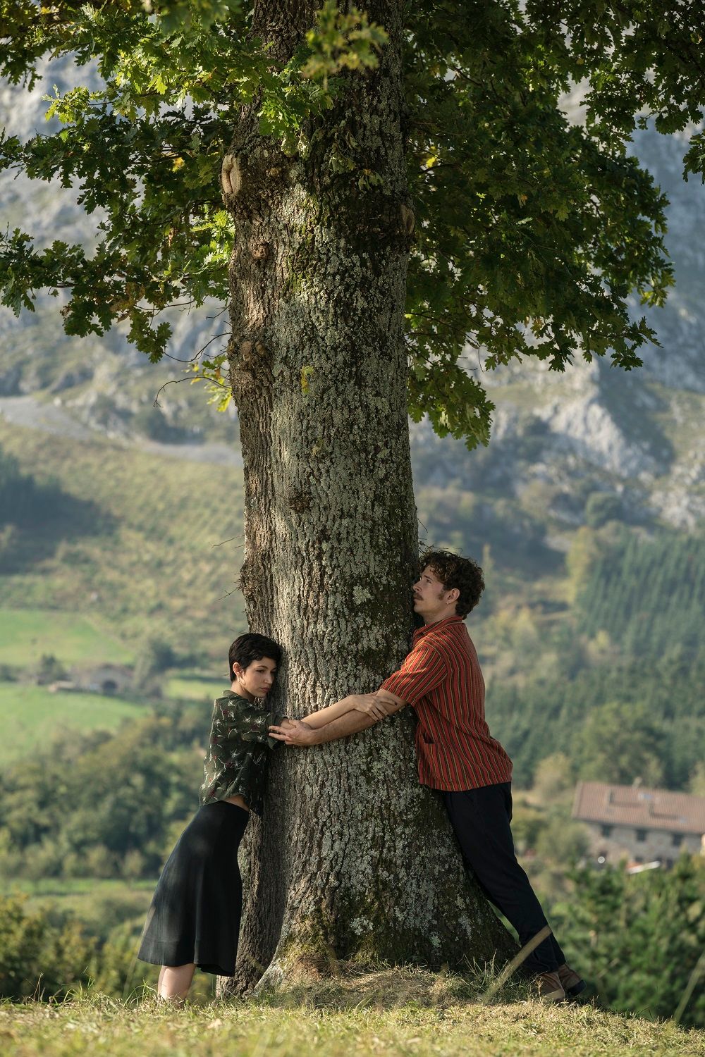 L'arbre de sang L'arbre de sang