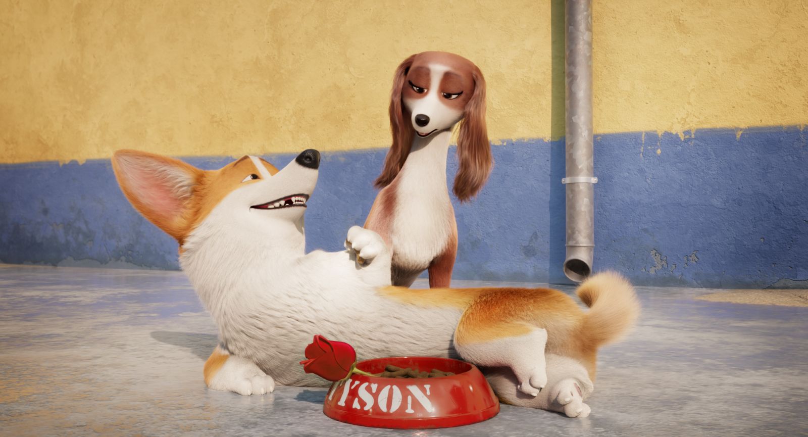 Royal Corgi Royal Corgi