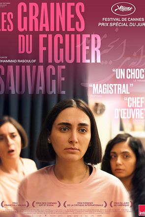 LES GRAINES DU FIGUIER SAUVAGE (affiche disponible en PETITE TAILLE uniquement) 