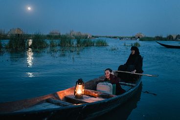 the president's cake