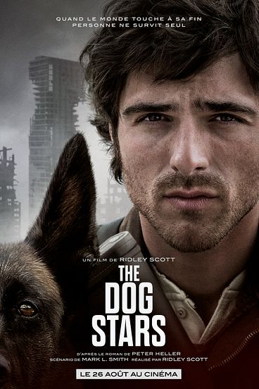 dog stars