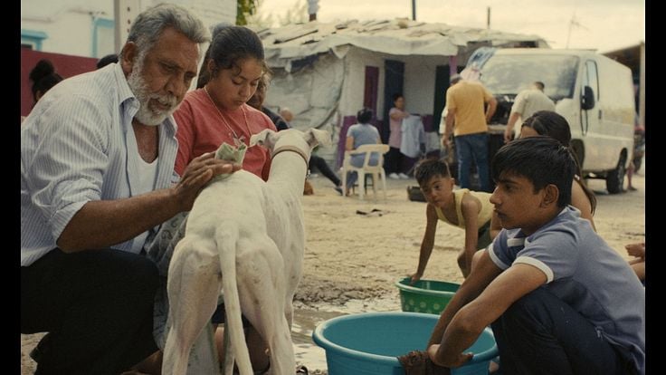 Ciudad sin sueño
