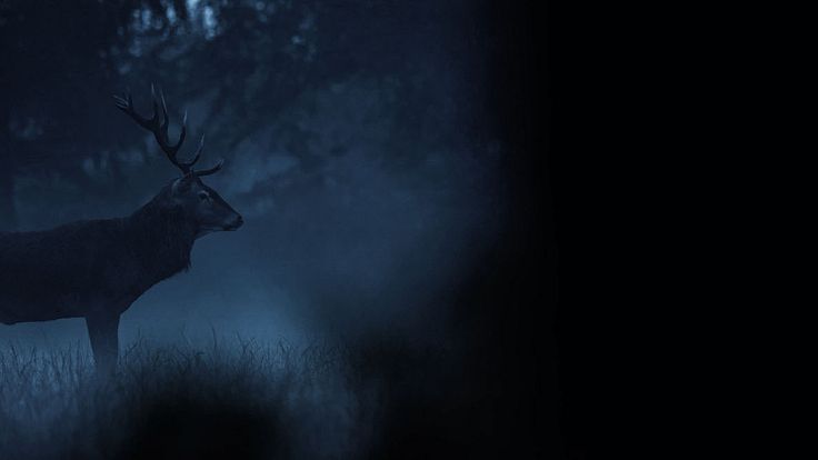 Argoat