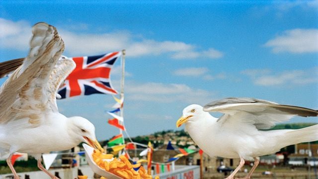 I Am Martin Parr