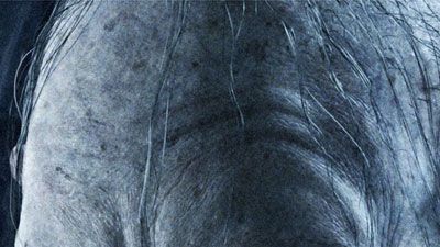 The Lord of the Rings: The Return of the King