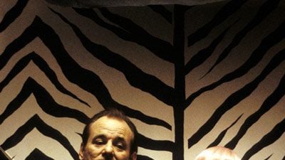 Lost in Translation