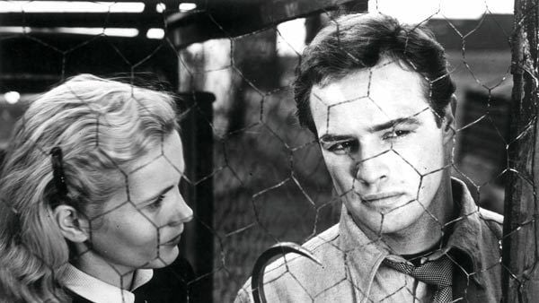 On the Waterfront