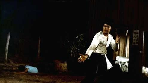 The Big Boss (Tang shan da xiong)