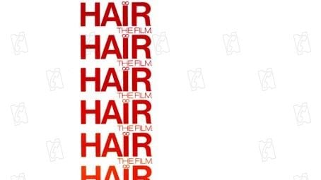 Hair