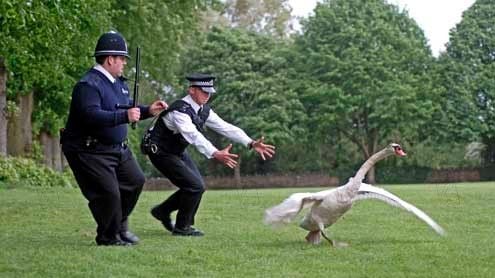 Hot Fuzz