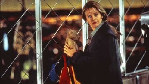 Sleepless in Seattle