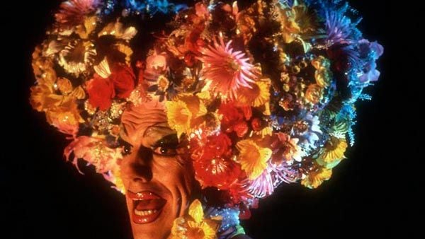 Priscilla, folle du désert