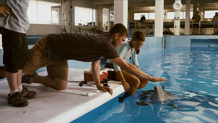 Dolphin Tale