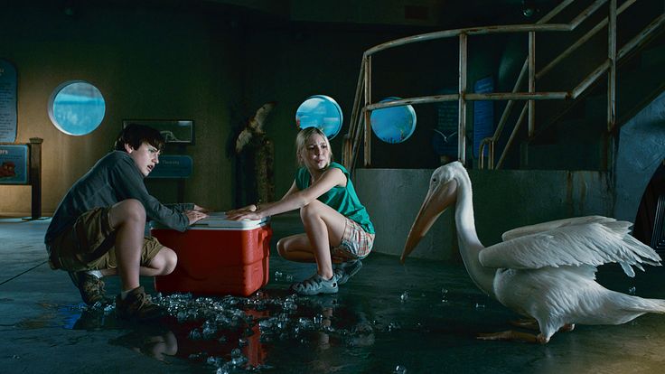 Dolphin Tale