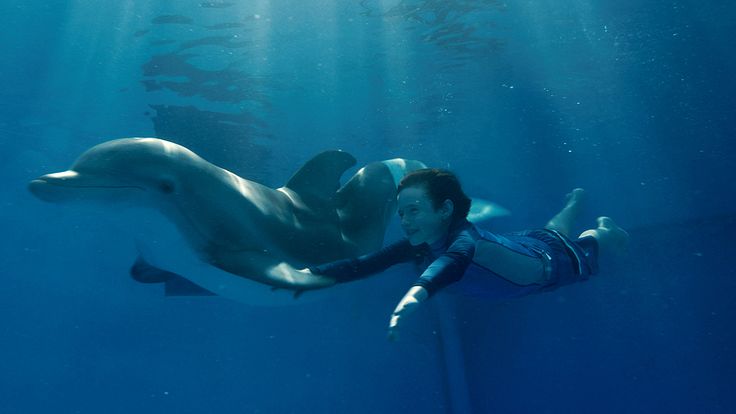 Dolphin Tale