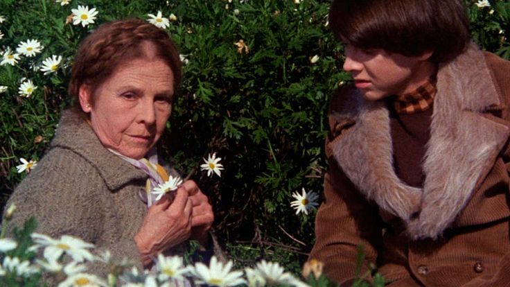 Harold et Maude