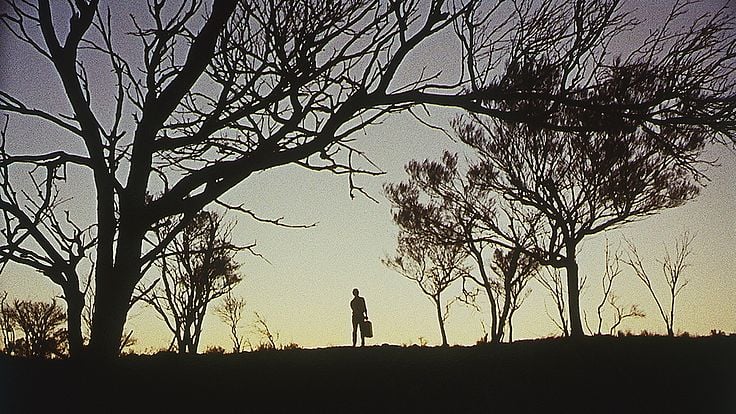 Wake in Fright