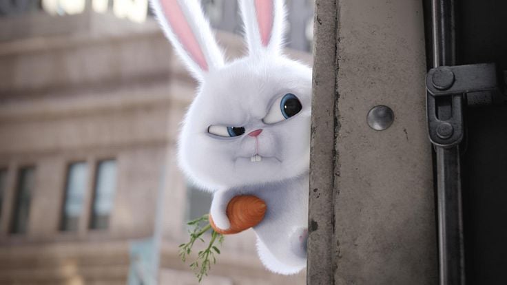 The Secret Life of Pets