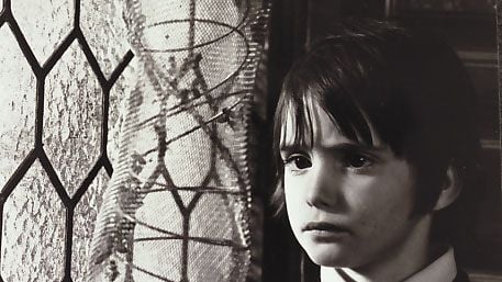 L'Esprit de la ruche