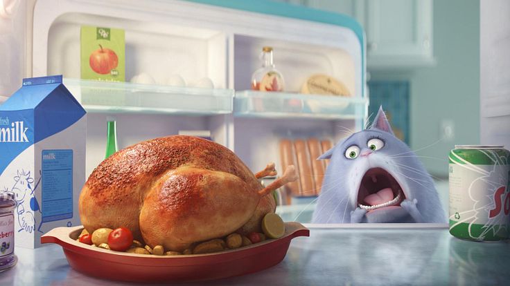 The Secret Life of Pets