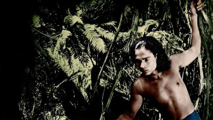 Le Livre de la jungle