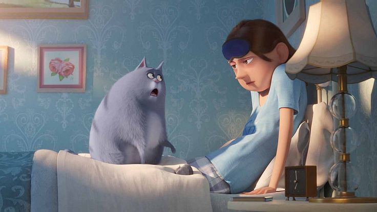 The Secret Life of Pets 2