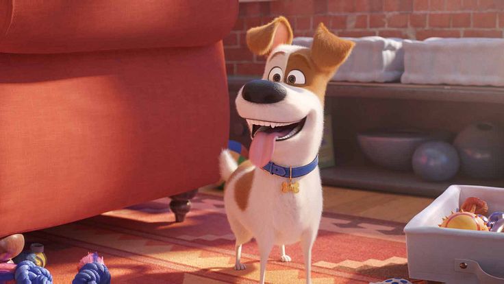 The Secret Life of Pets 2