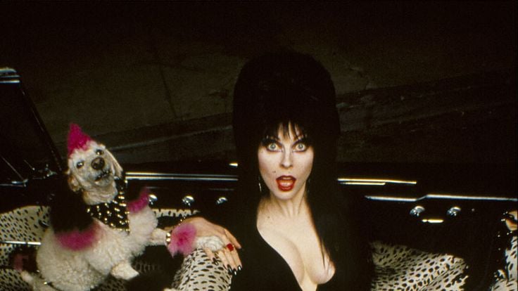 Elvira, Mistress of the Dark