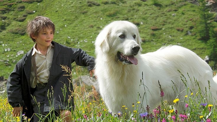 Belle et Sébastien