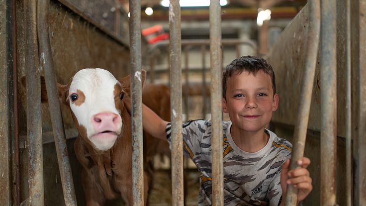 La Ferme des Bertrand