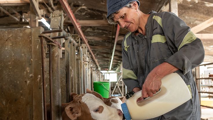 La Ferme des Bertrand