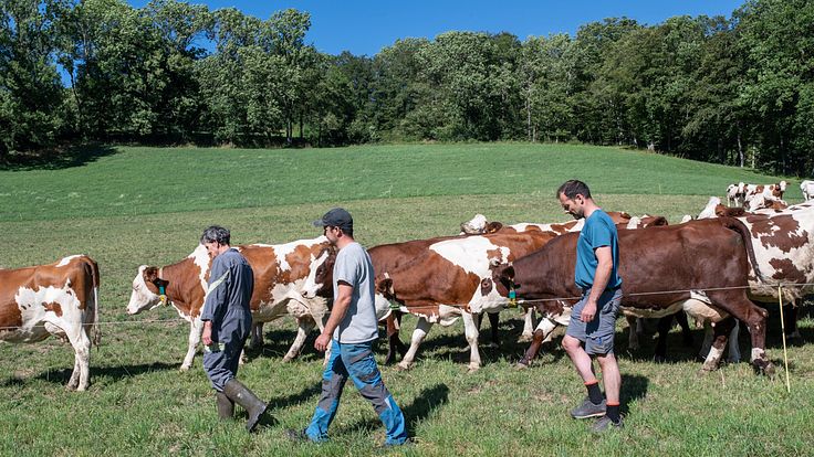 La Ferme des Bertrand