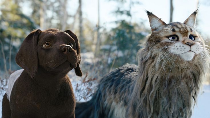 Chien et Chat