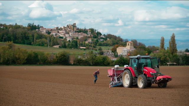 La Théorie du Boxeur