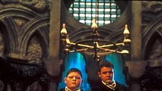 Harry Potter and the Chamber of Secrets