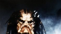 Predator