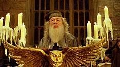 Harry Potter and the Goblet of Fire