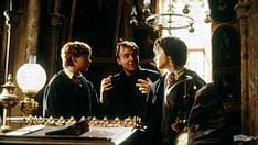 Harry Potter and the Chamber of Secrets