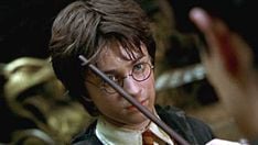 Harry Potter and the Chamber of Secrets