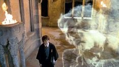 Harry Potter and the Chamber of Secrets