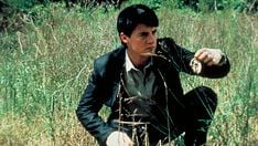 Blue Velvet