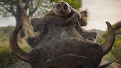 Mufasa: The Lion King Showtimes & Tickets - Showcase Cinemas - UK