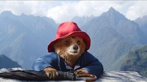 Paddington in Peru