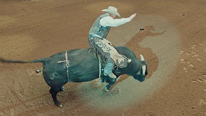 The Last Rodeo