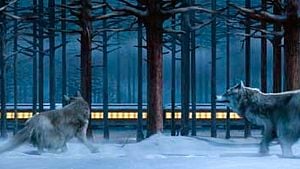 The Polar Express