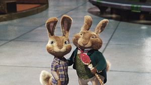 Hop