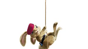 Hop