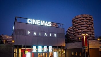 Les Cinémas du Palais